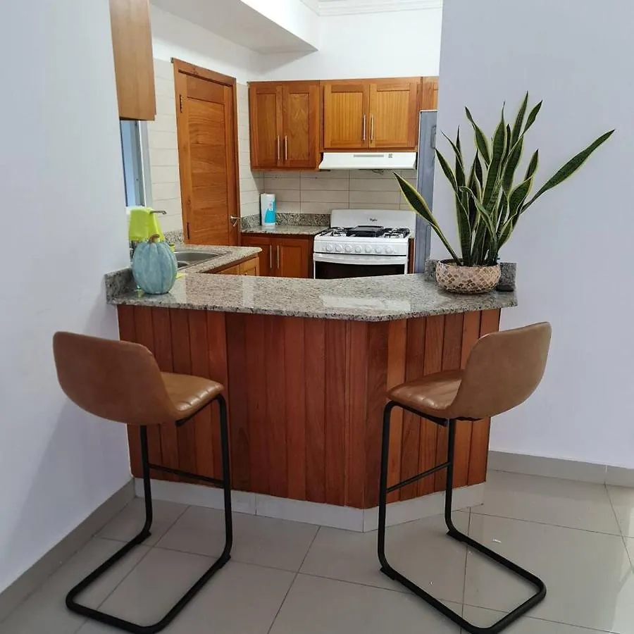 Апартаменты Apartamento Completo En Bella Vista 1 O 2 Dormitorios Санто-Доминго